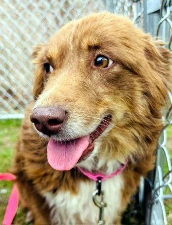 Lilli Belle thumbnail 3