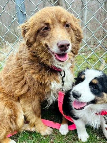 Lilli Belle thumbnail 4