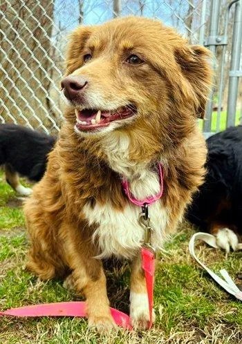 Lilli Belle thumbnail 5