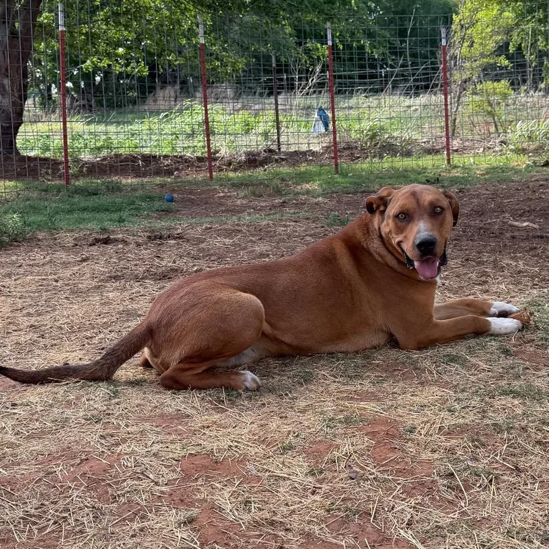 Zeus