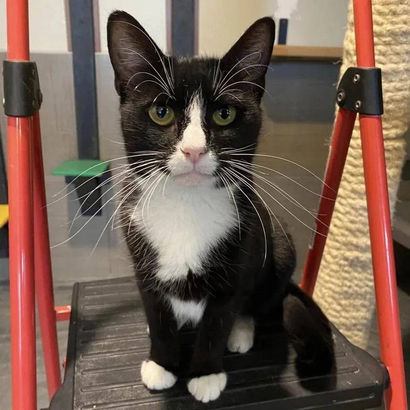 Jane Bond thumbnail 5