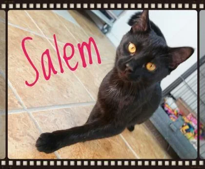 Salem thumbnail 2