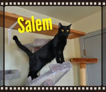 Salem