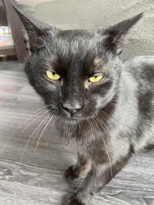 Jiji Antonio thumbnail 2