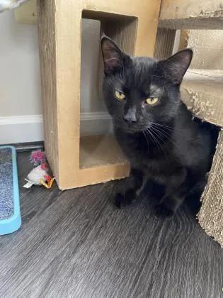 Jiji Antonio thumbnail 3