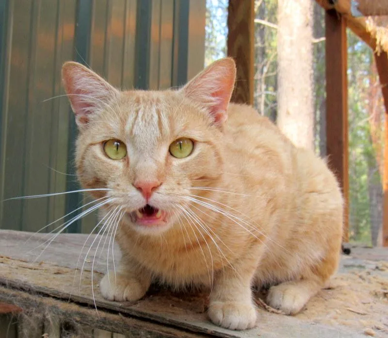 Jimmy  Your Best thumbnail 2