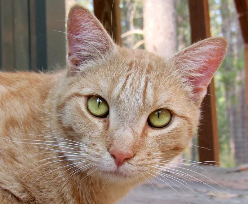 Jimmy  Your Best thumbnail 3