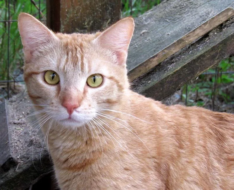 Jimmy  Your Best thumbnail 4