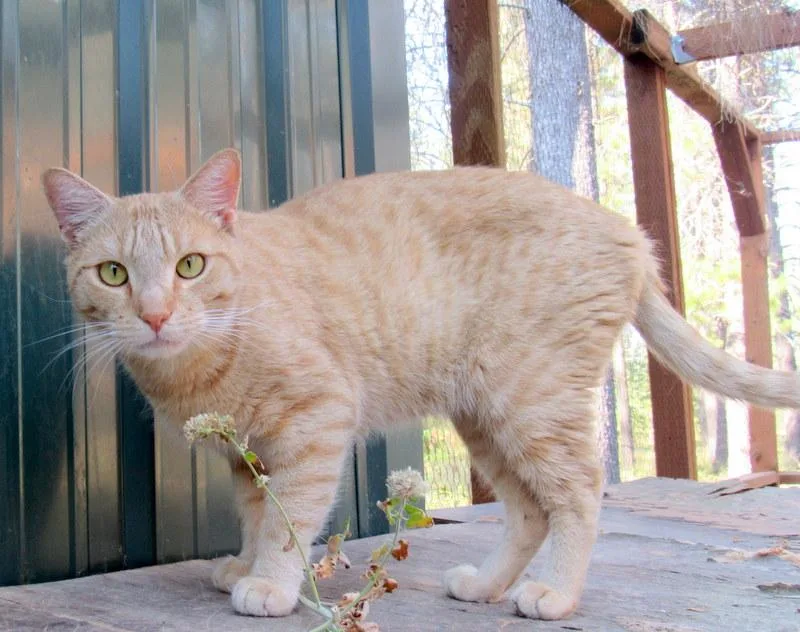 Jimmy  Your Best thumbnail 5