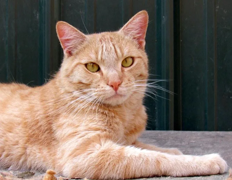 Jimmy  Your Best thumbnail 6