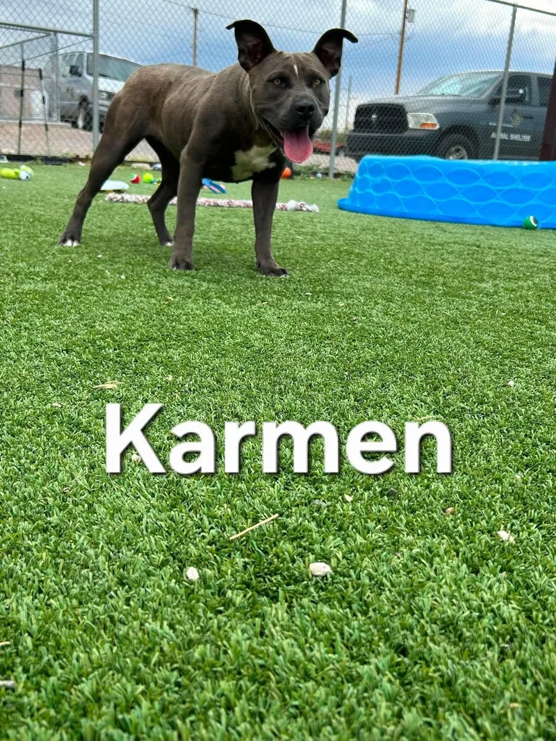 Karmen thumbnail 6