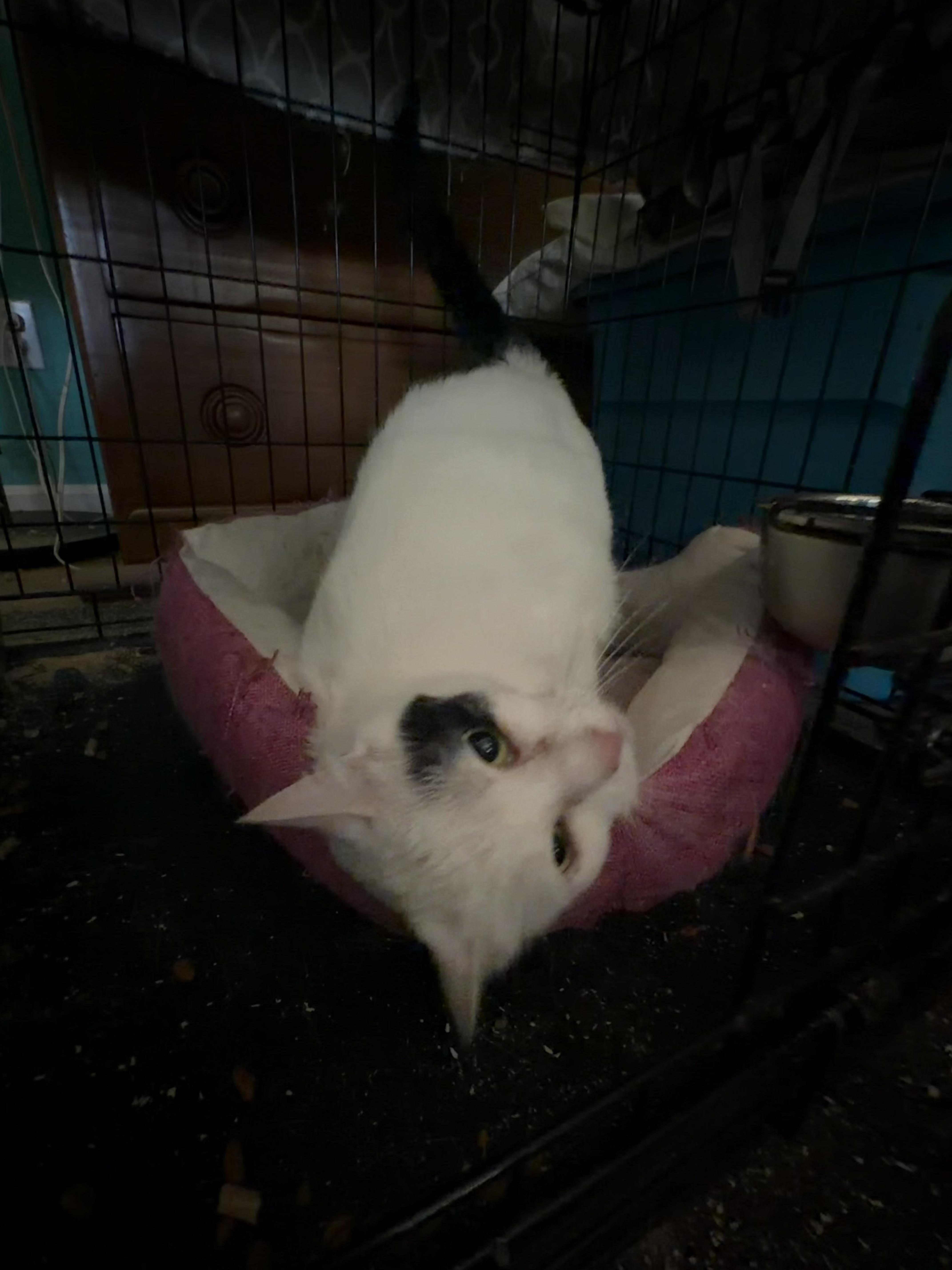 Betty thumbnail 2