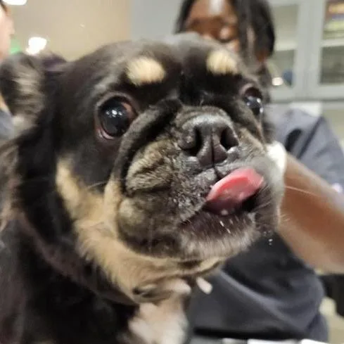 Baby thumbnail 5