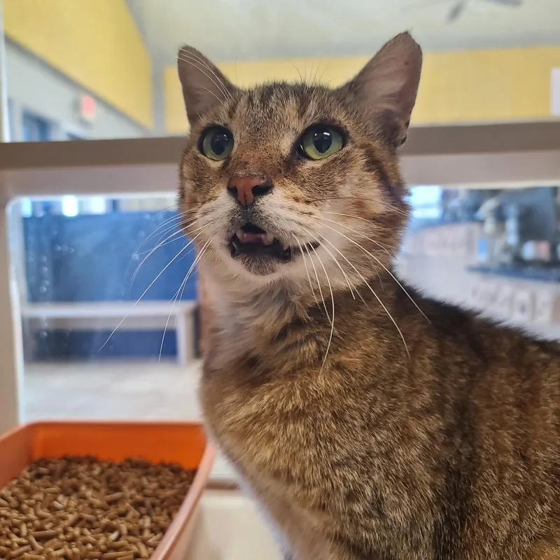 Doc Mcnubbins thumbnail 4