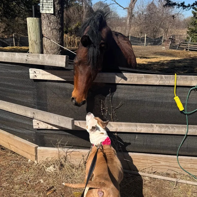 Gracie Lou thumbnail 3