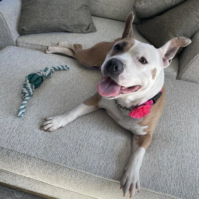 Gracie Lou thumbnail 6