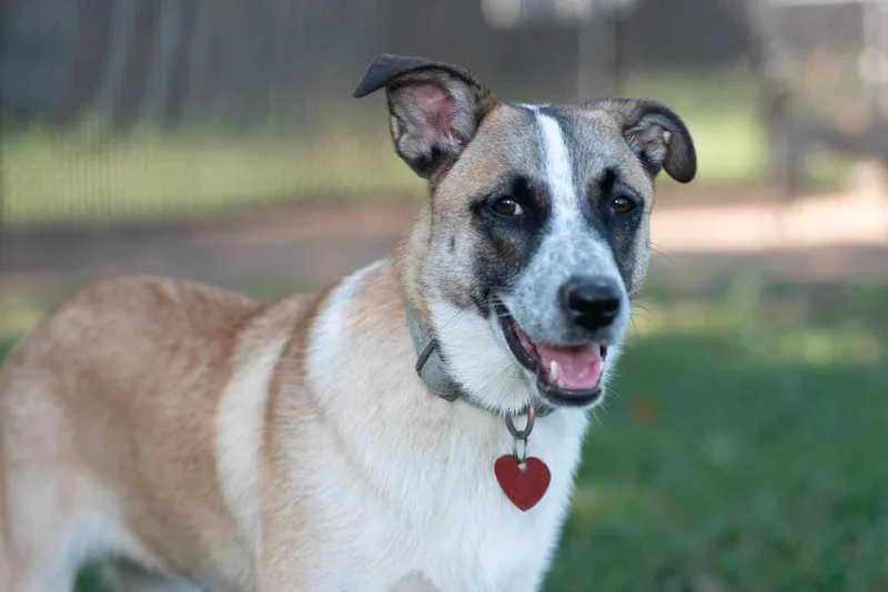 Mystique thumbnail 3