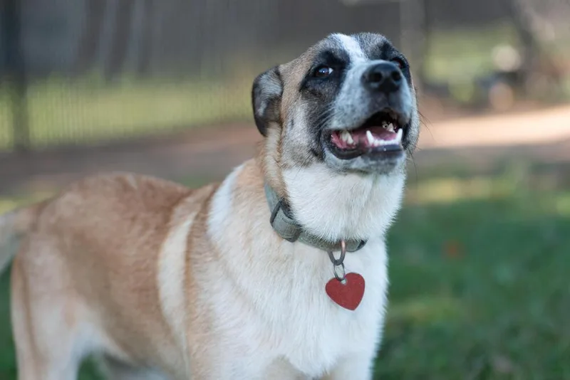 Mystique thumbnail 4