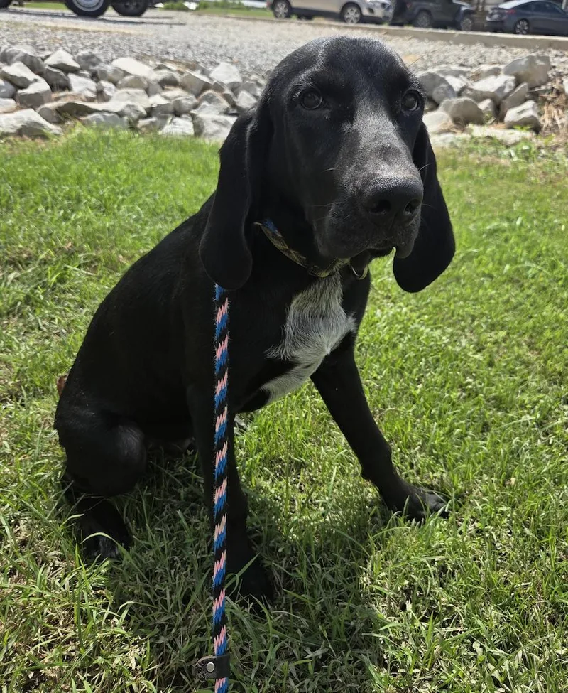 Echo thumbnail 3