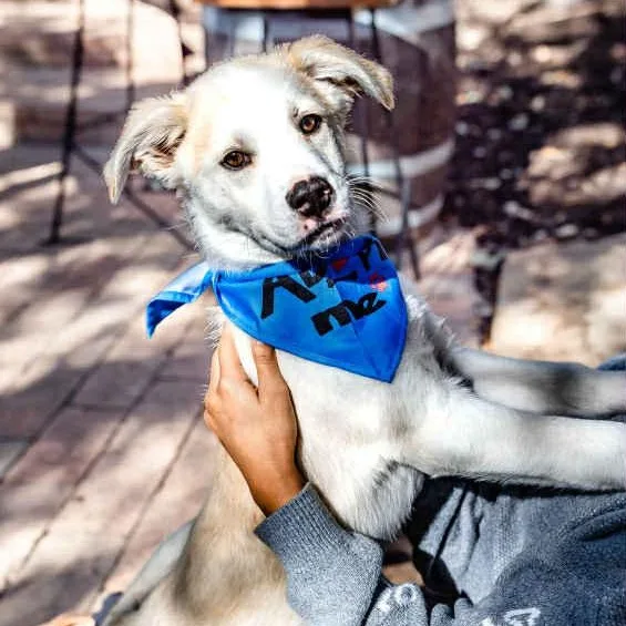 Jake Is In Seattle! thumbnail 2