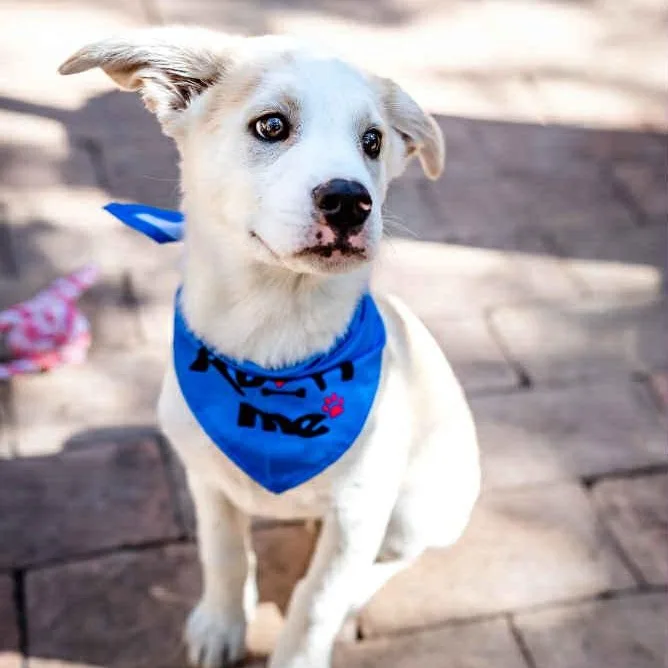 Jake Is In Seattle! thumbnail 3