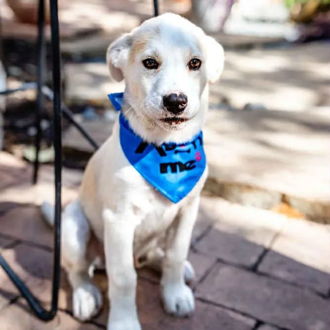 Jake Is In Seattle! thumbnail 4