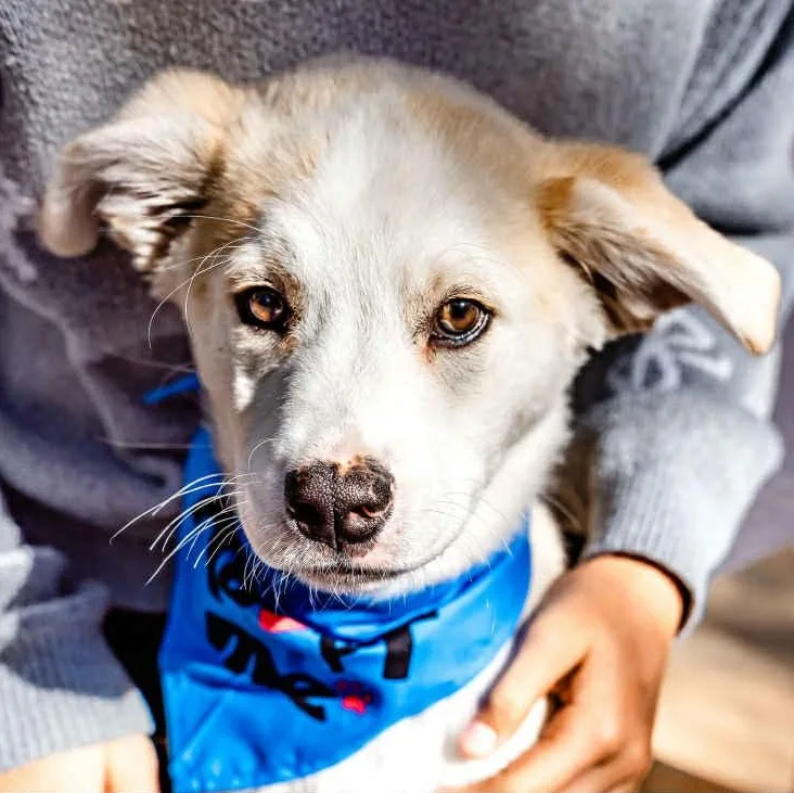 Jake Is In Seattle! thumbnail 5