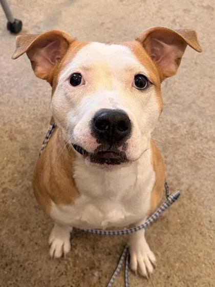 Rapunzel thumbnail 2