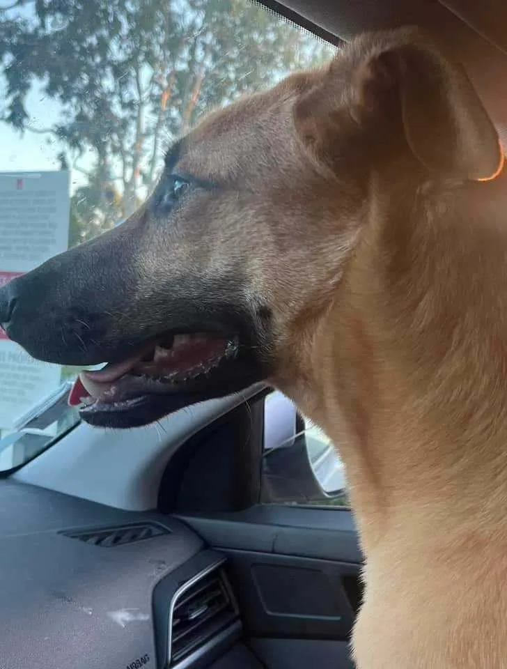 Puttin' On The Blitz!!