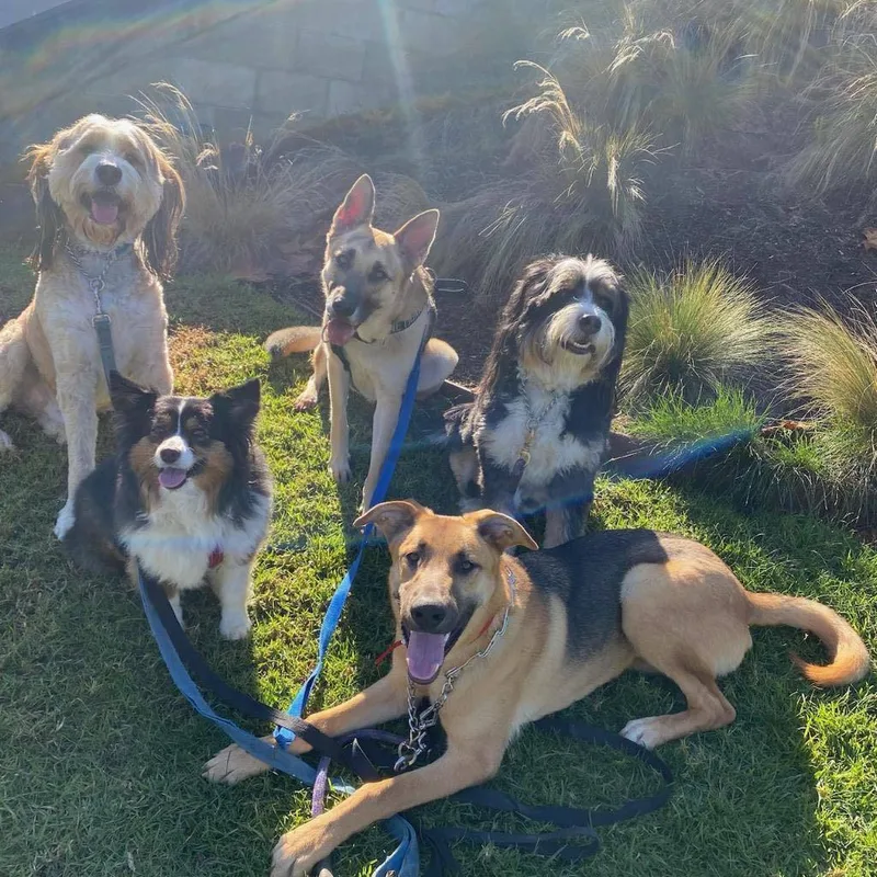 Puttin' On The Blitz!! thumbnail 3