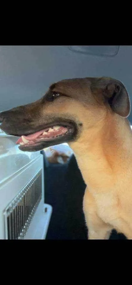 Puttin' On The Blitz!! thumbnail 5