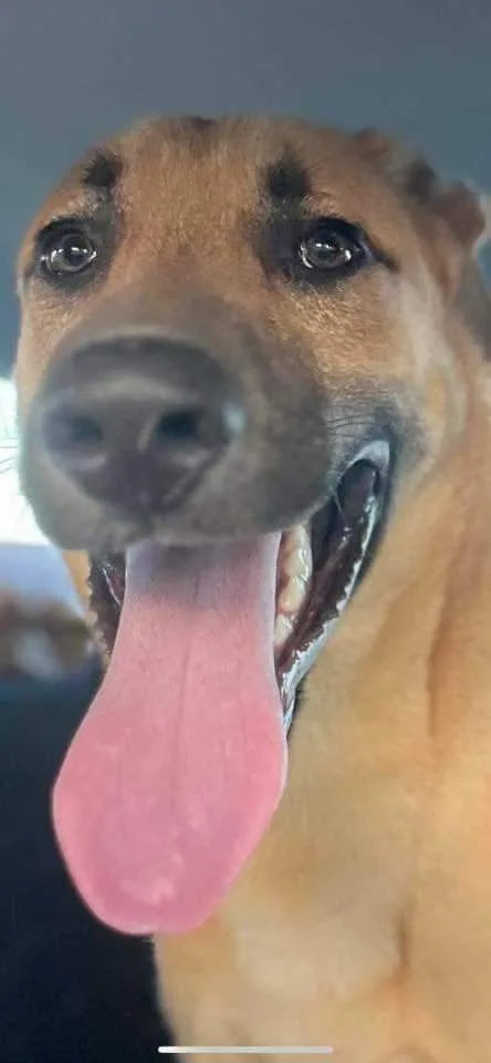 Puttin' On The Blitz!! thumbnail 6