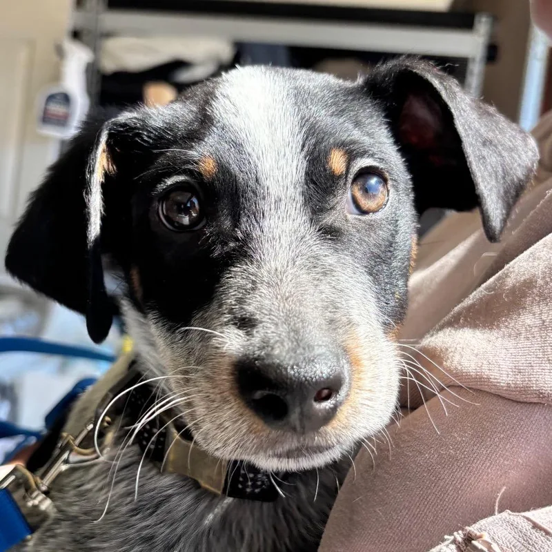 Midnight thumbnail 2