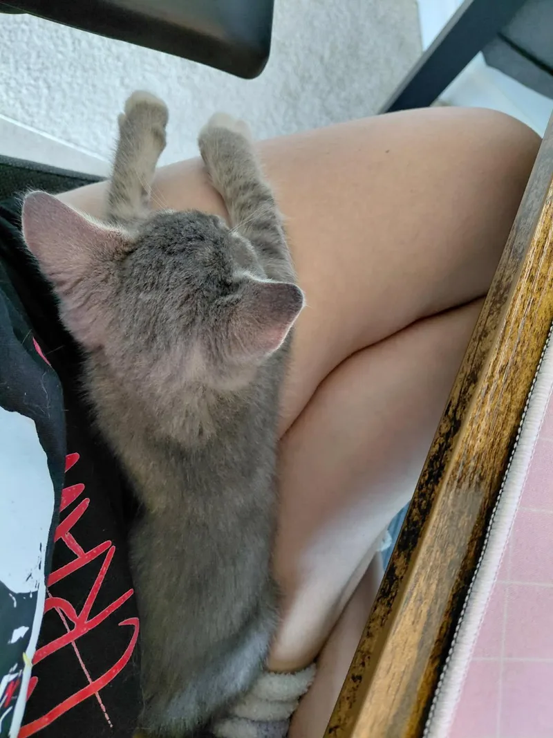 Cutie Pie thumbnail 2
