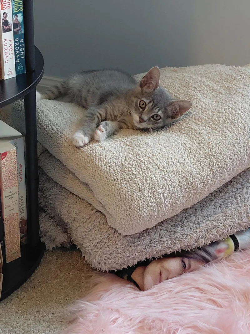Cutie Pie thumbnail 3