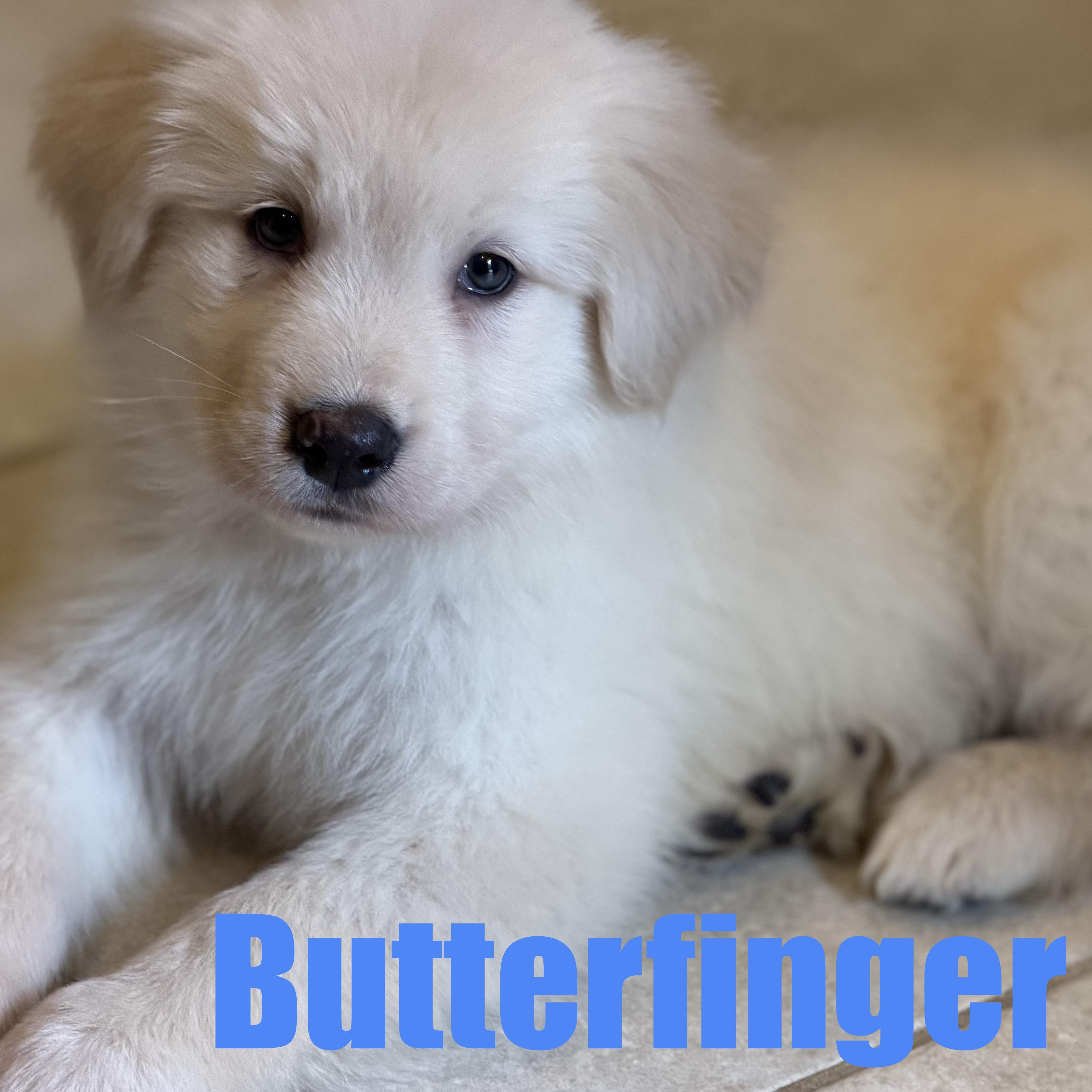 Butterfinger thumbnail 6