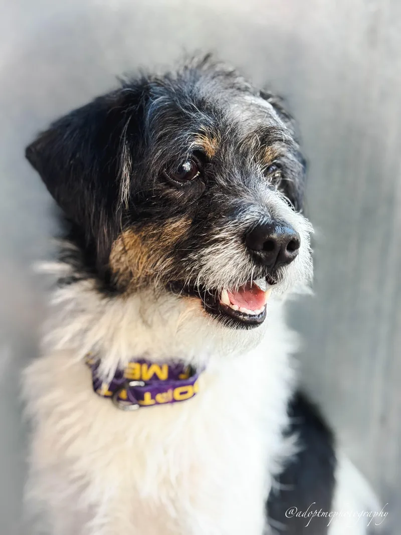 Jimmy thumbnail 5