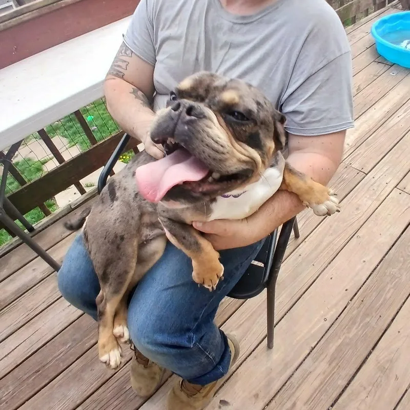 Clementine thumbnail 2