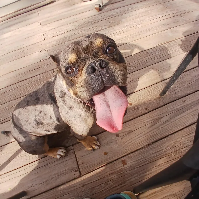 Clementine thumbnail 3