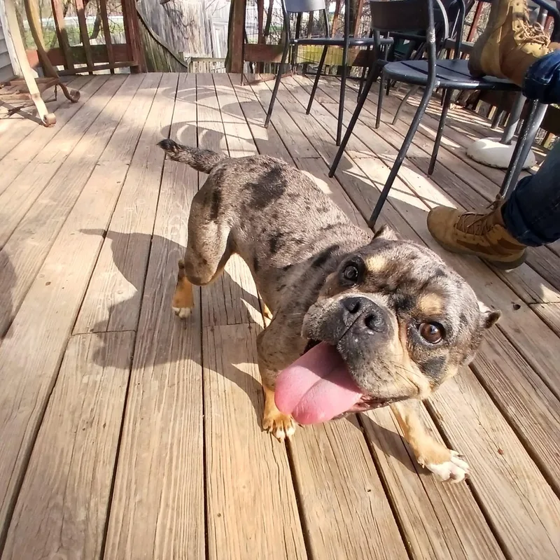 Clementine thumbnail 4