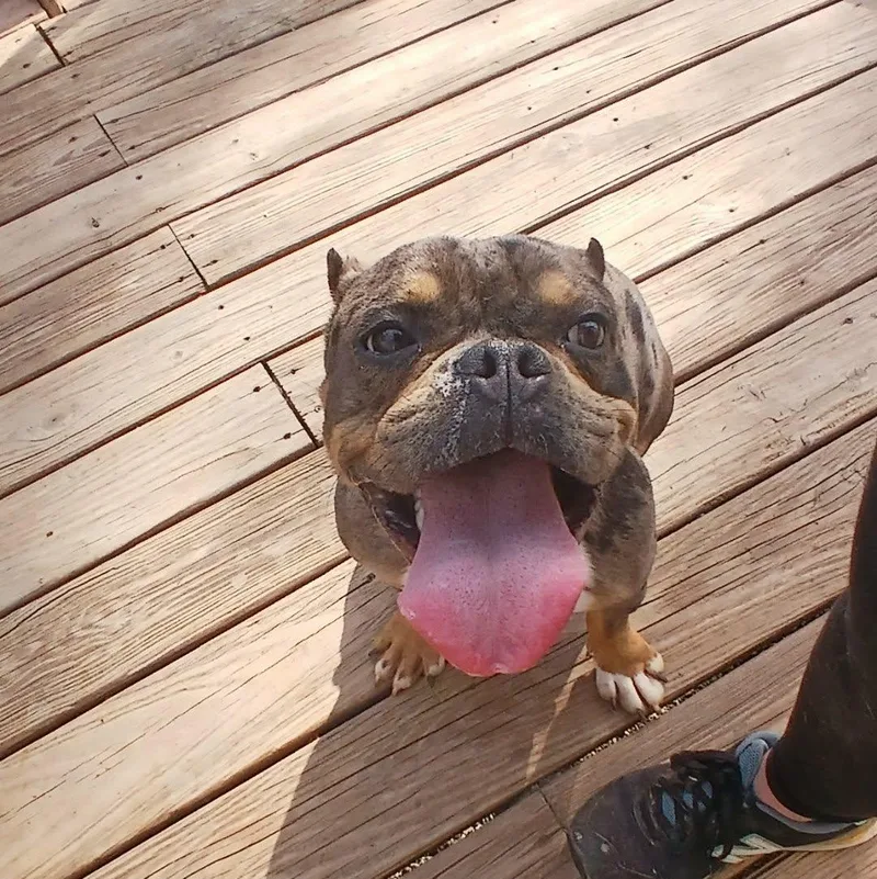 Clementine thumbnail 6