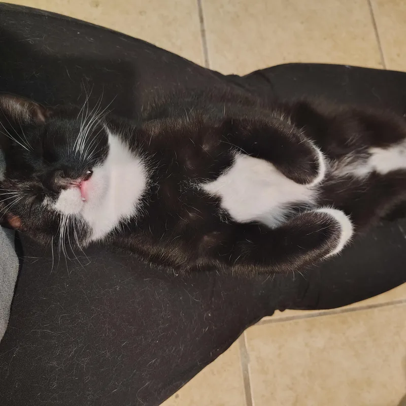 Virgo & Libra [bonded thumbnail 2