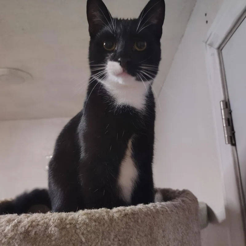 Virgo & Libra [bonded thumbnail 3