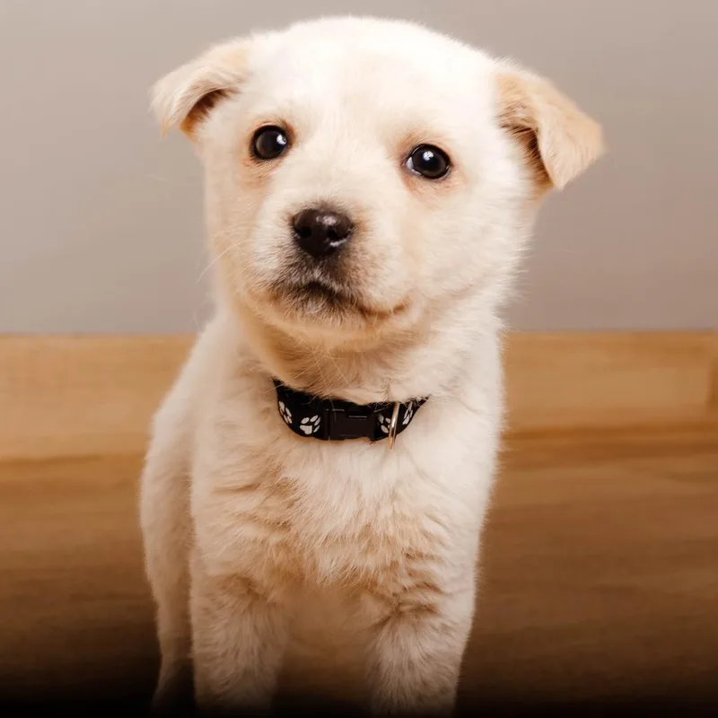 Journey D thumbnail 2