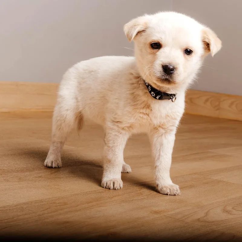 Journey D thumbnail 5