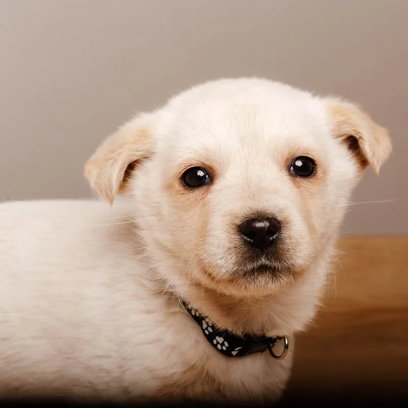 Journey D thumbnail 6