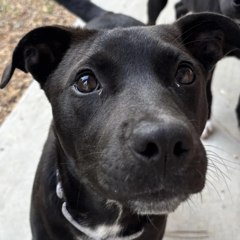 Patsy Cline thumbnail 2