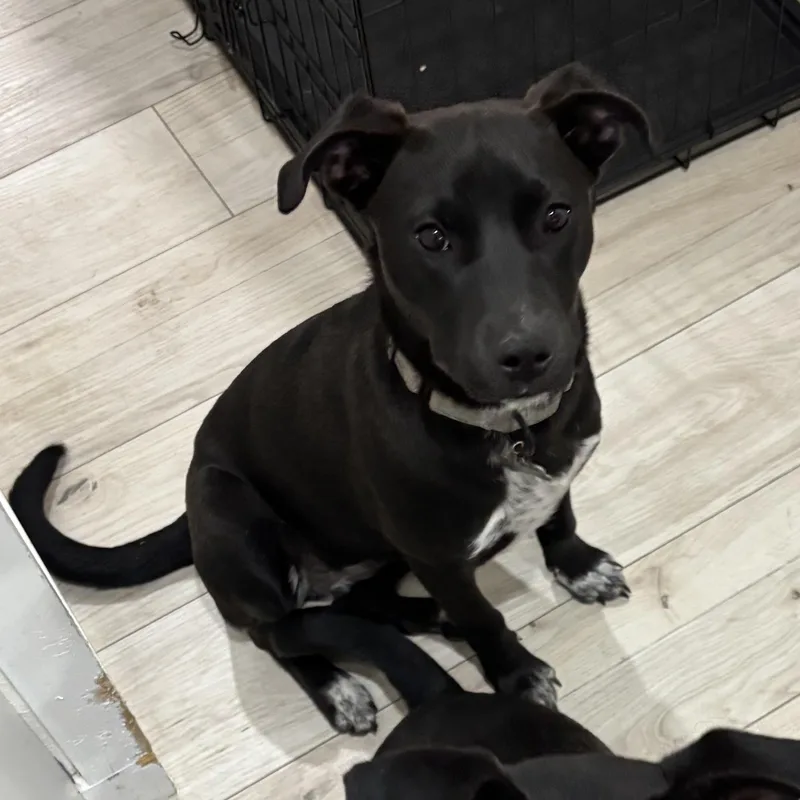 Patsy Cline thumbnail 3