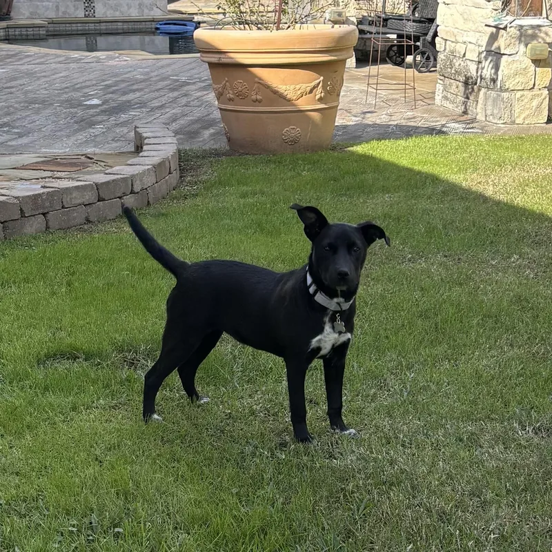 Patsy Cline thumbnail 4