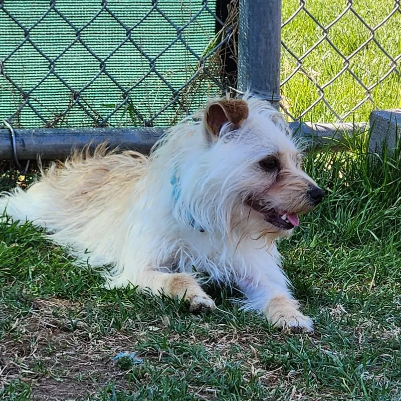 Frederick thumbnail 2